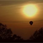 Der Sonne entgegen