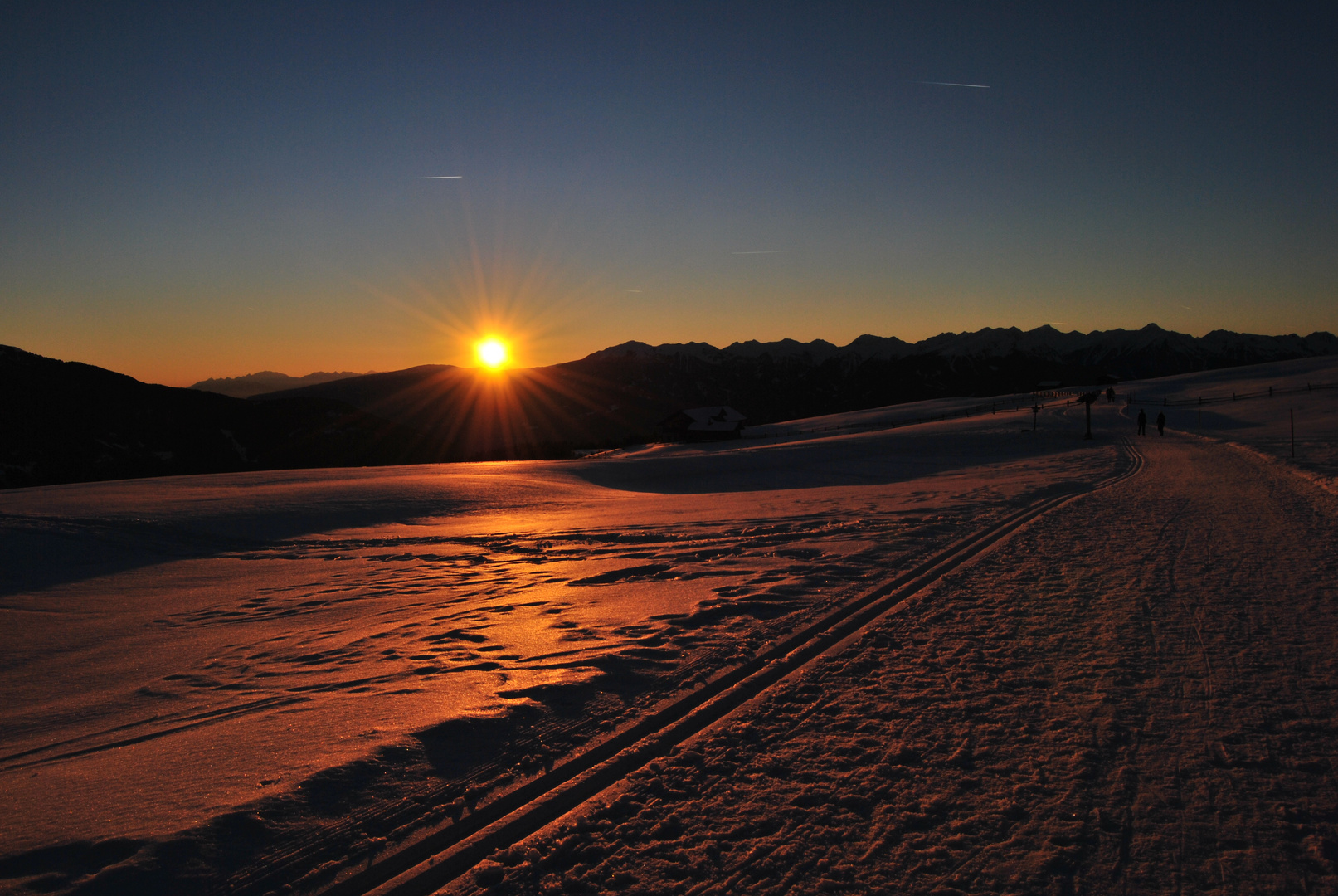 Der Sonne entgegen