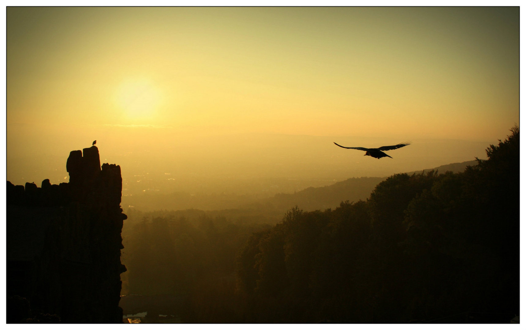 Der Sonne entgegen