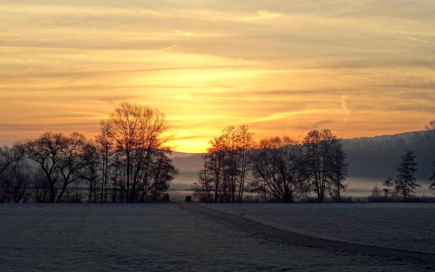 Der Sonne entgegen