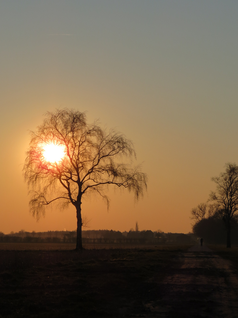 Der Sonne entgegen