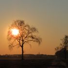 Der Sonne entgegen