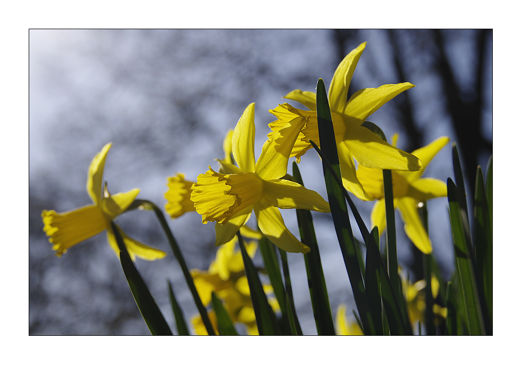 der Sonne entgegen