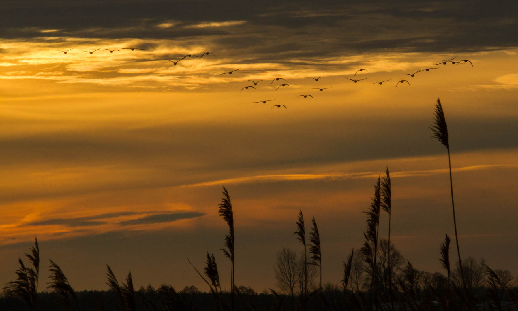 .......der Sonne entgegen