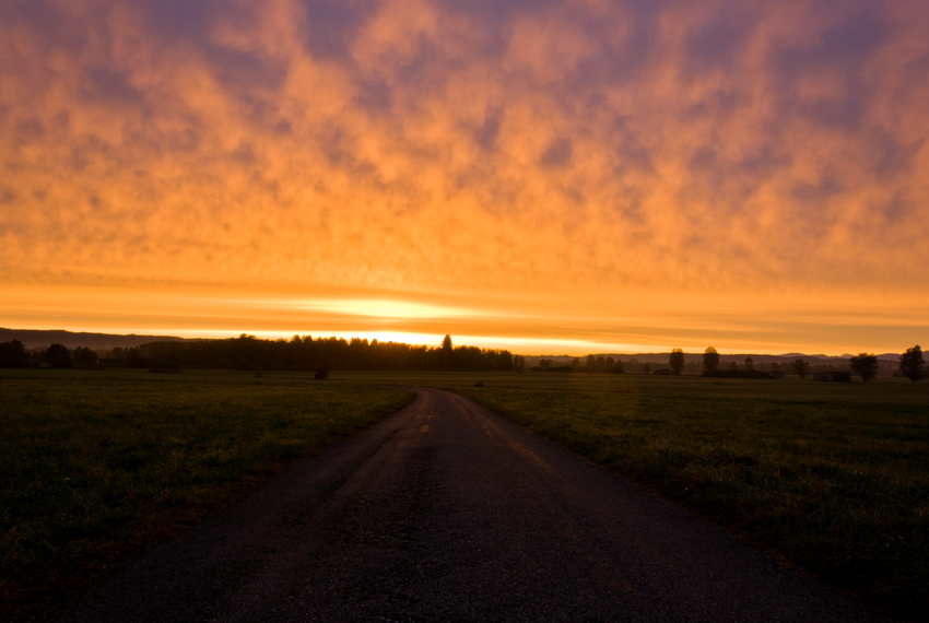 Der Sonne entgegen