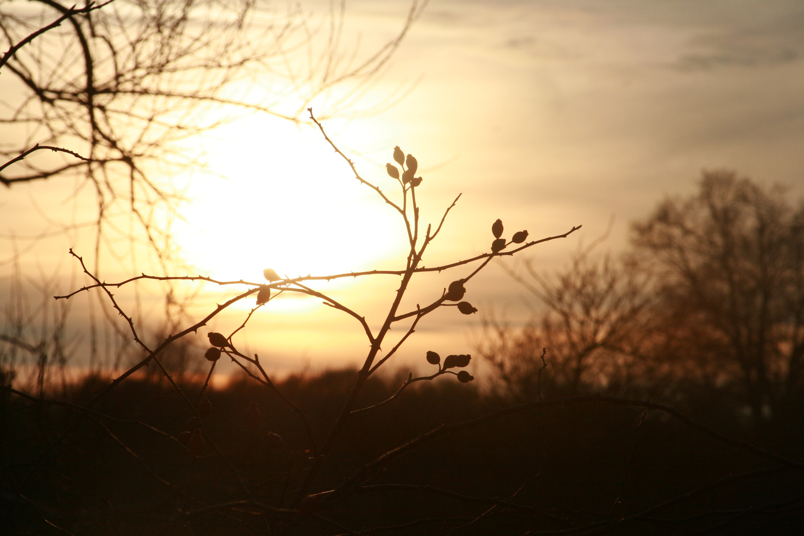 * der Sonne entgegen*