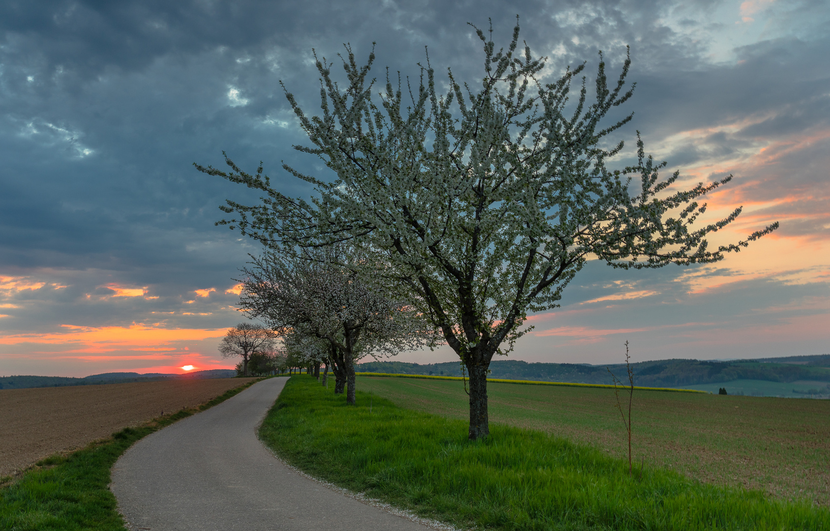 Der Sonne entgegen