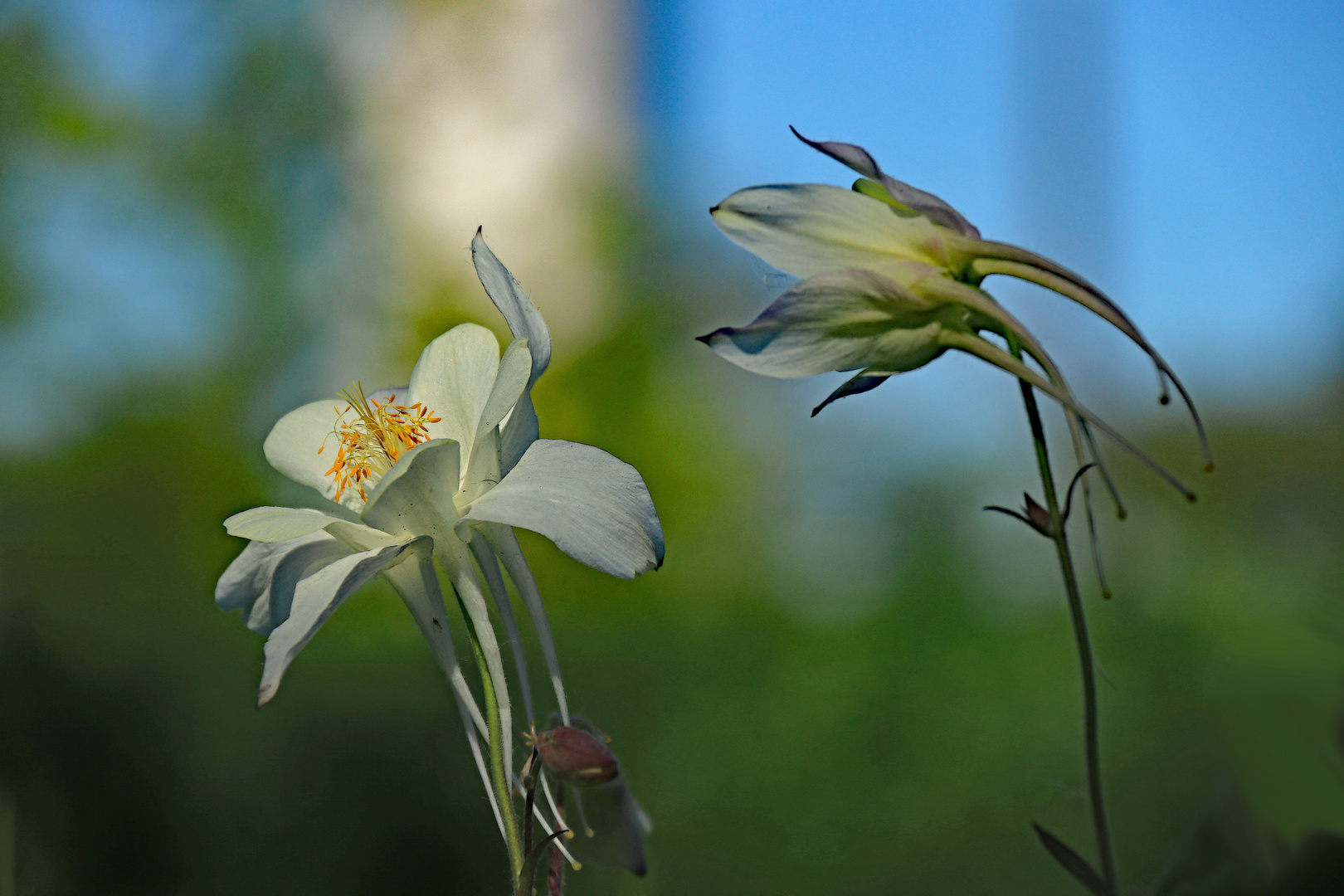 Der Sonne entgegen