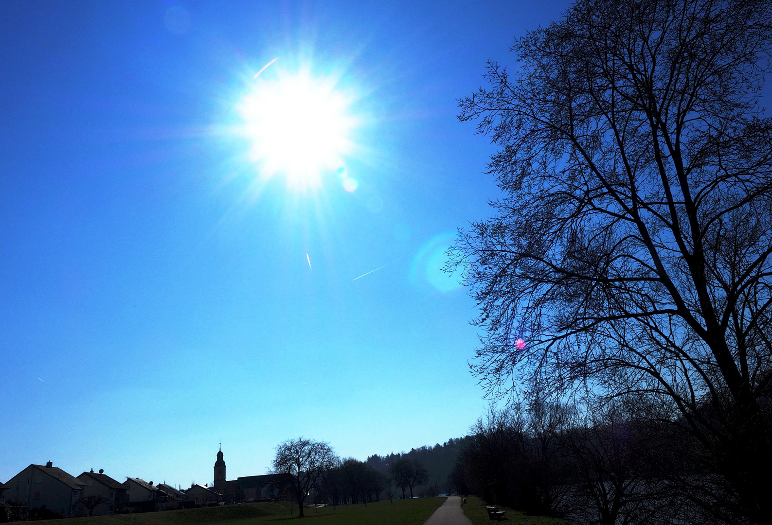 Der Sonne entgegen