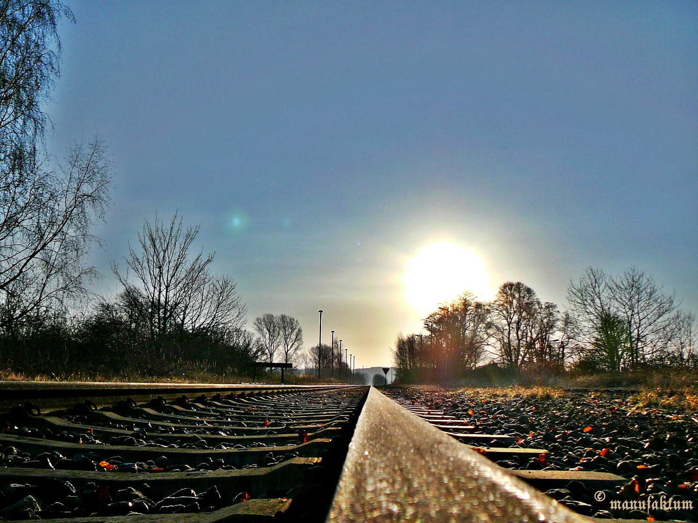 der Sonne entgegen