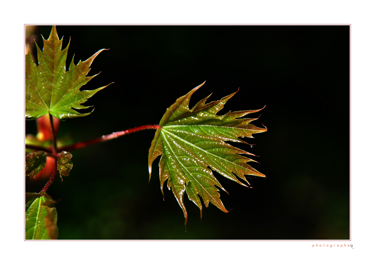 der Sonne entgegen ...