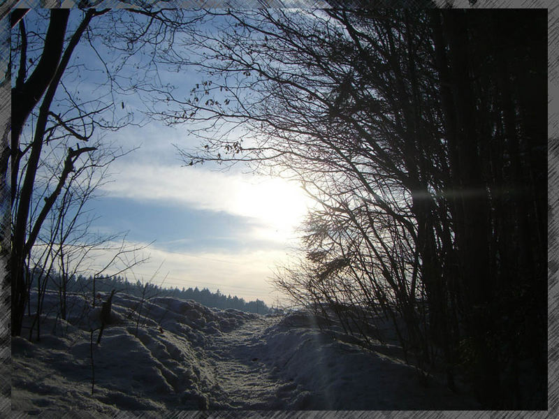 Der Sonne entgegen!