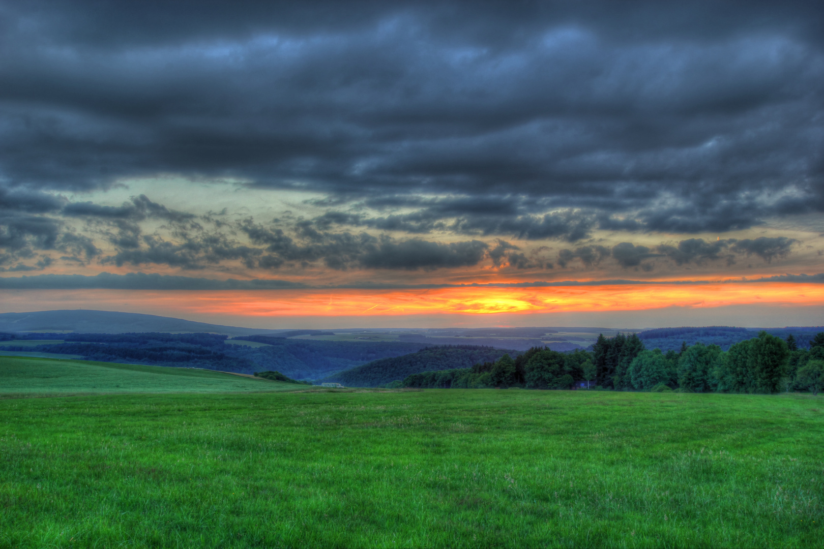 Der Sonne entgegen