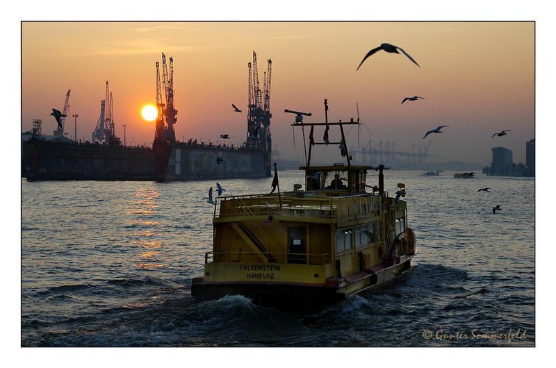 Der Sonne entgegen im Hamburger Hafen