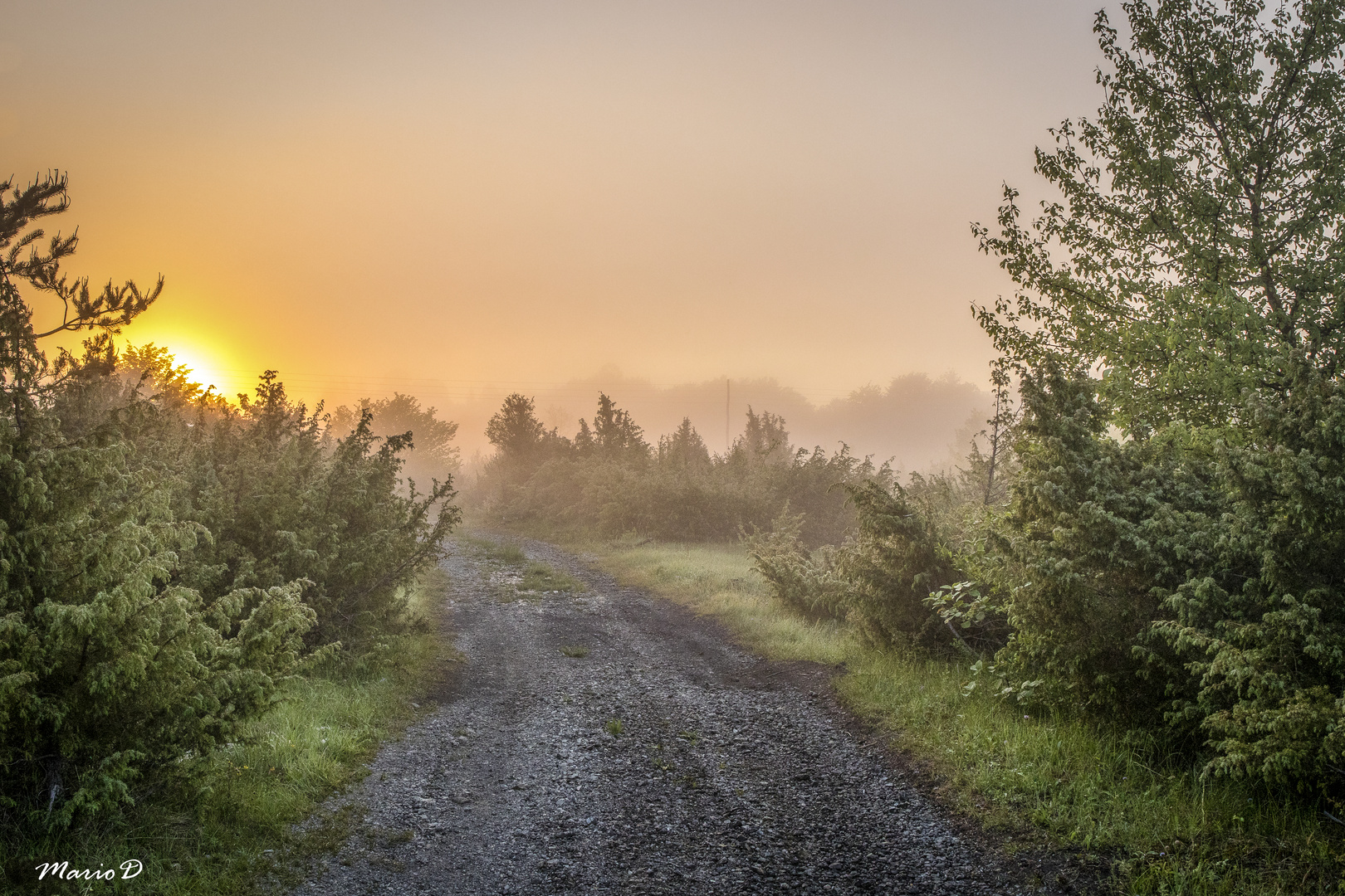 Der Sonne entgegen im Morgengrauen.