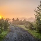 Der Sonne entgegen im Morgengrauen.