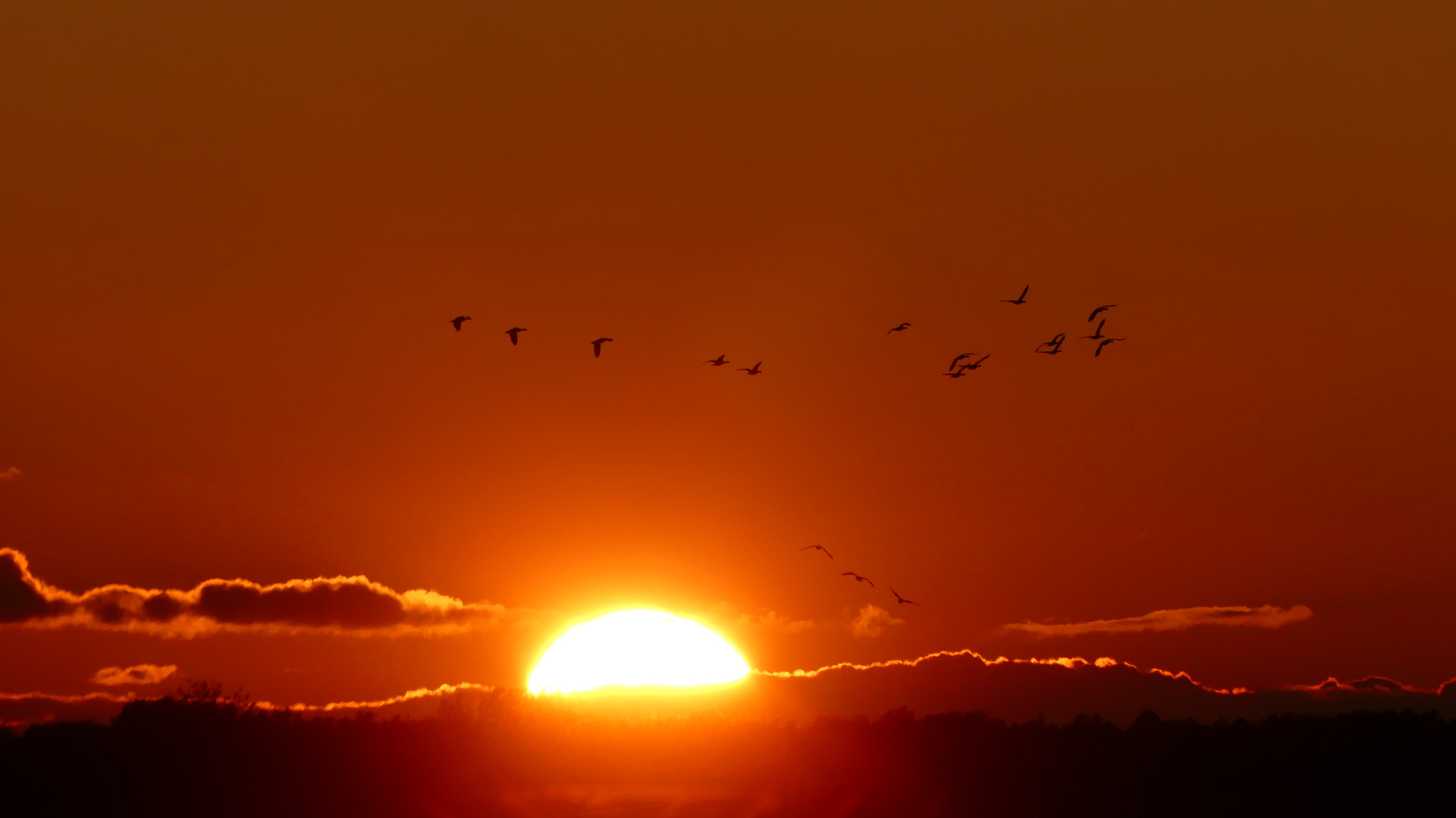 Der Sonne entgegen ... in die Nachtruhe