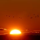 Der Sonne entgegen ... in die Nachtruhe