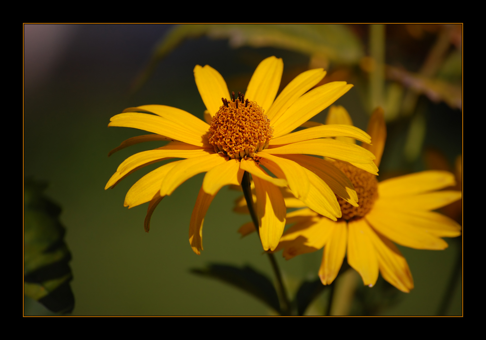 Der Sonne entgegen... (Teil 2)