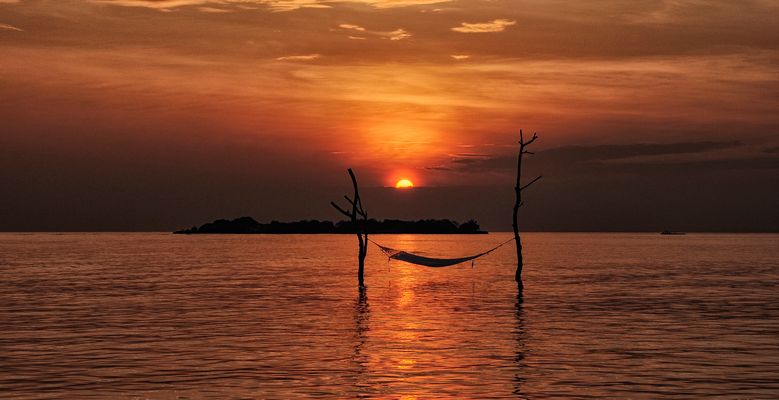 Der Sonne entgegen - vacanza -vacances -