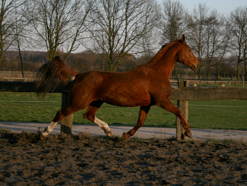 Der Sonne hinterher