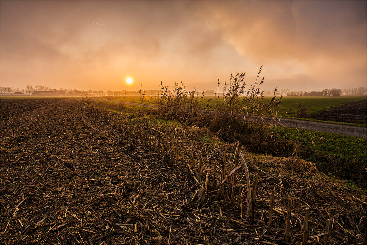 Der Sonne hinterher gefahren ...