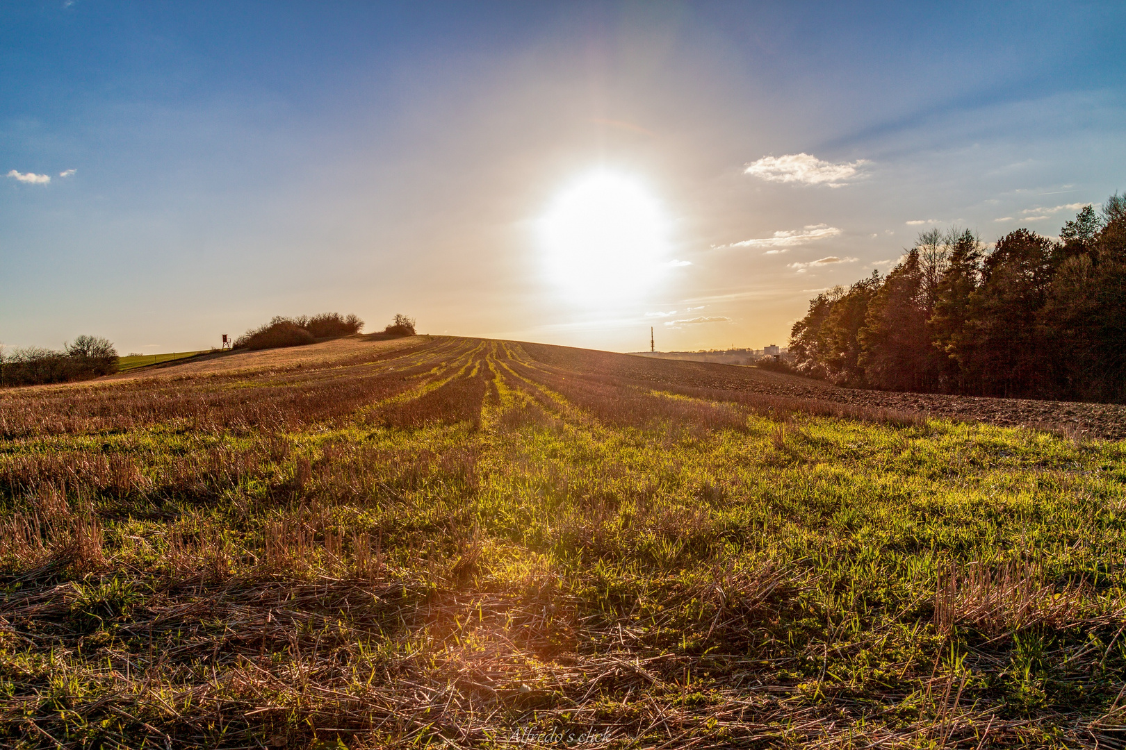 Der Sonne nach