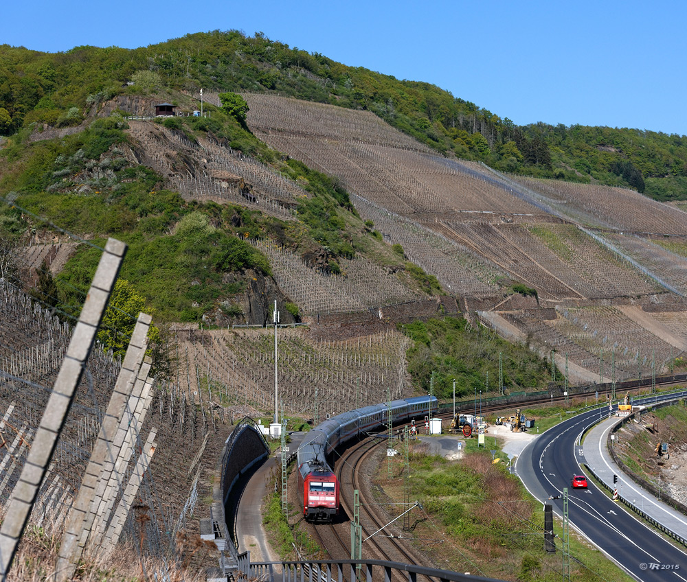 Der Sonne zugeneigt