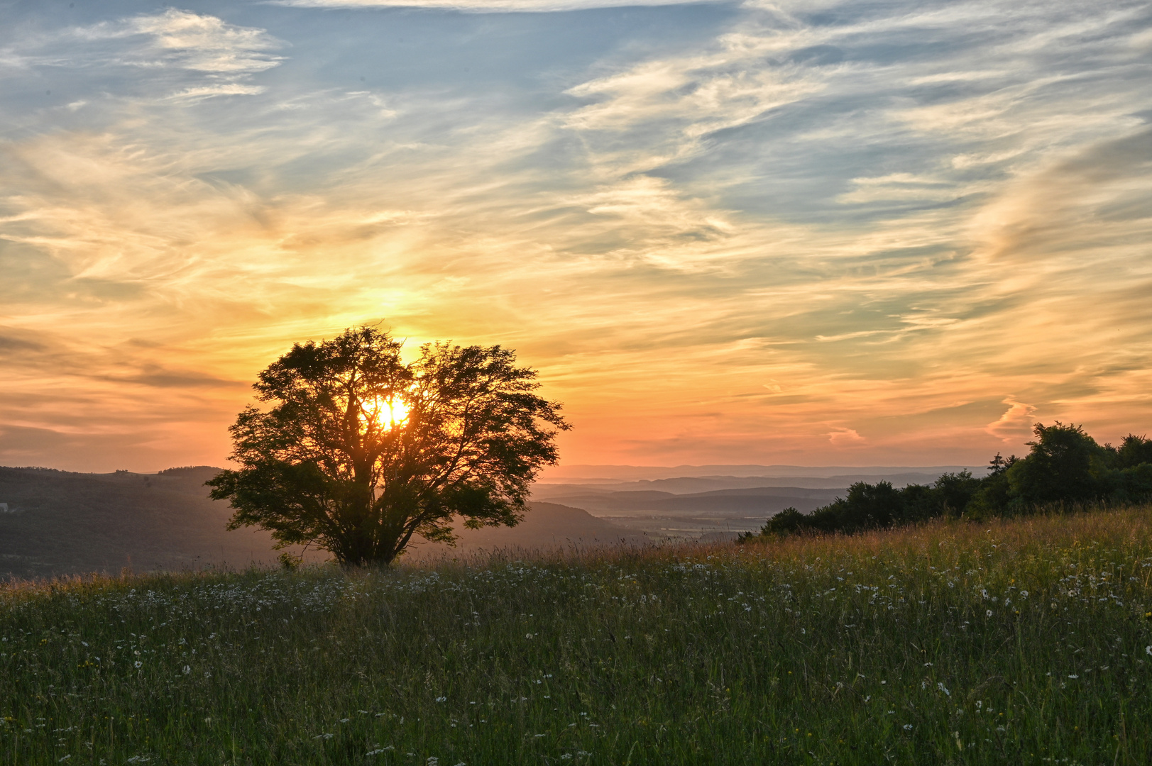 der Sonnenaufgang