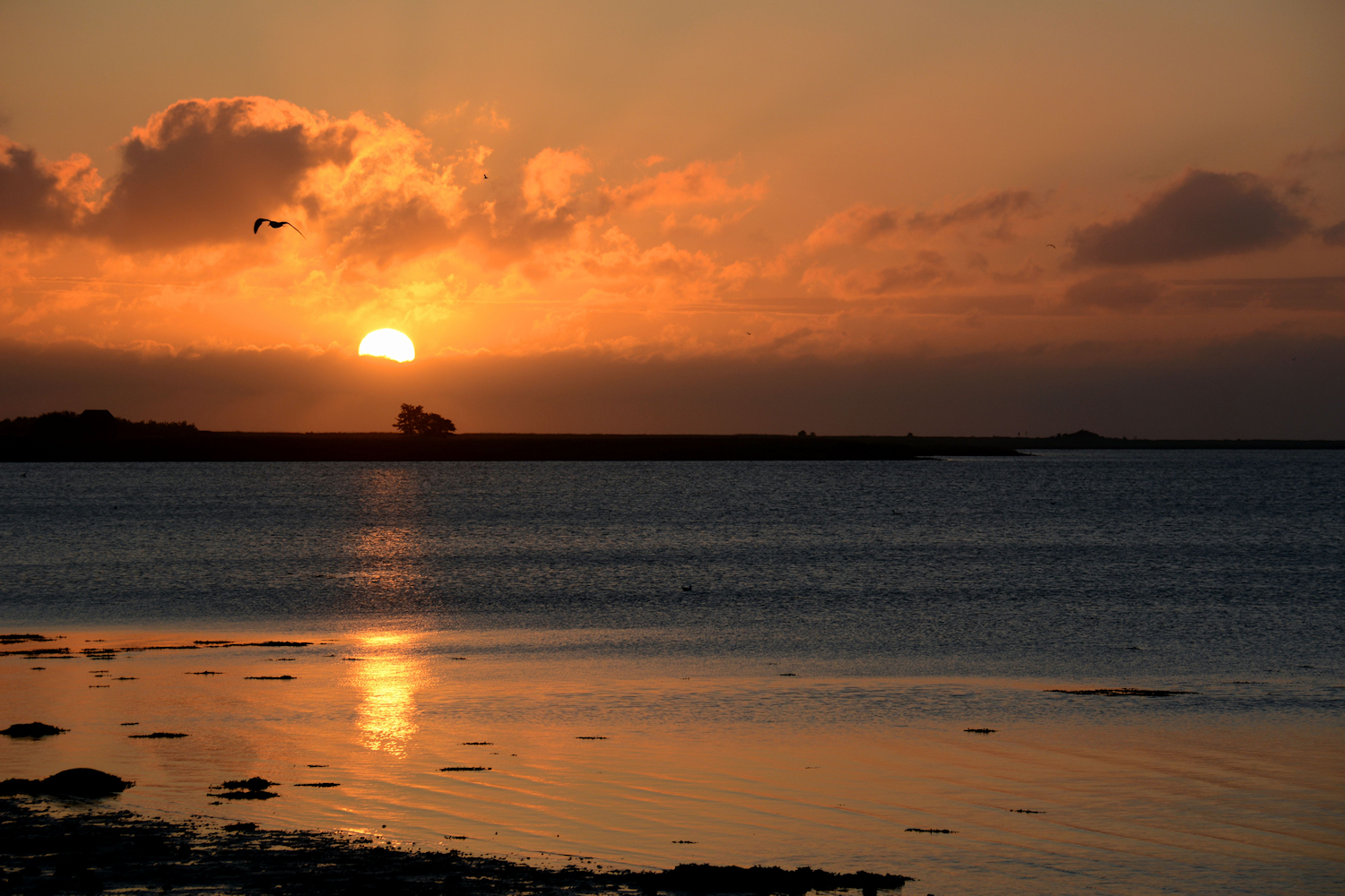 der Sonnenaufgang