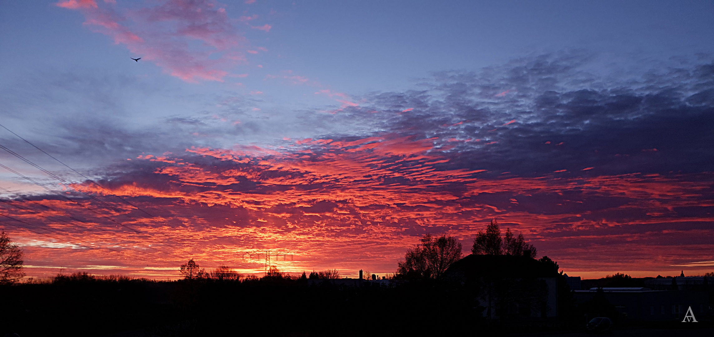 Der Sonnenaufgang