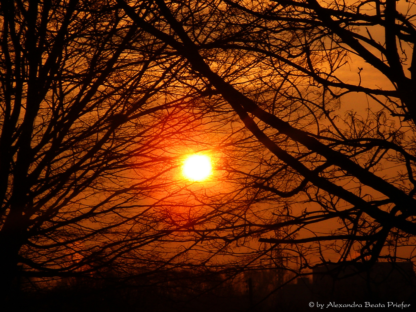 Der Sonnenaufgang