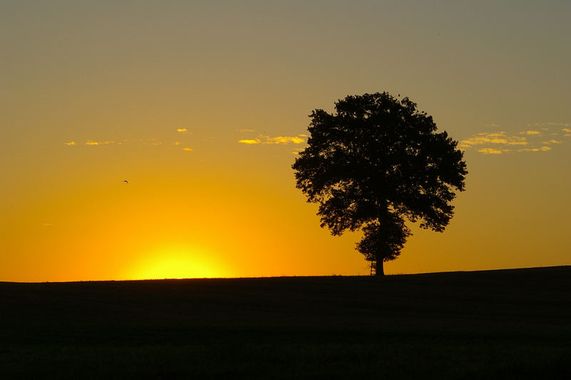 Der Sonnenaufgang