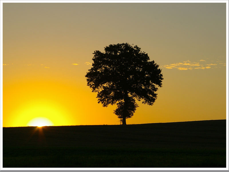 Der Sonnenaufgang II