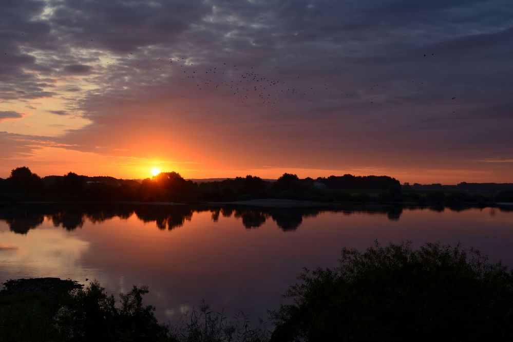 der Sonnenaufgang über der Elbe