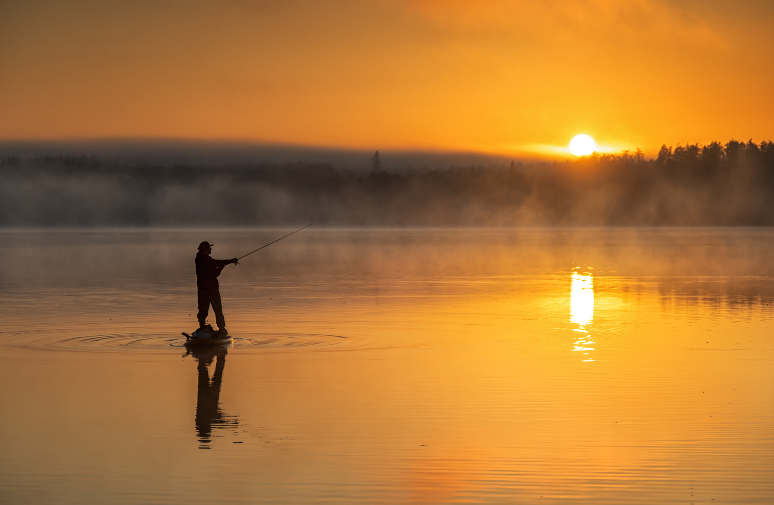 der sonnenfischer