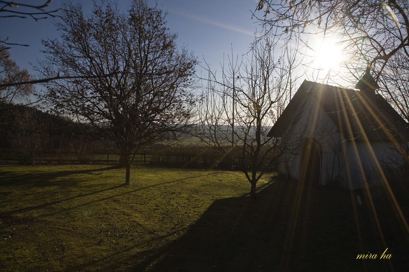 Der Sonnenschirm