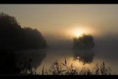 Der Sonnentanz beginnt