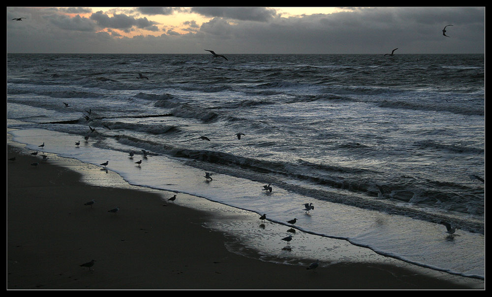 der Sonnenuntergang