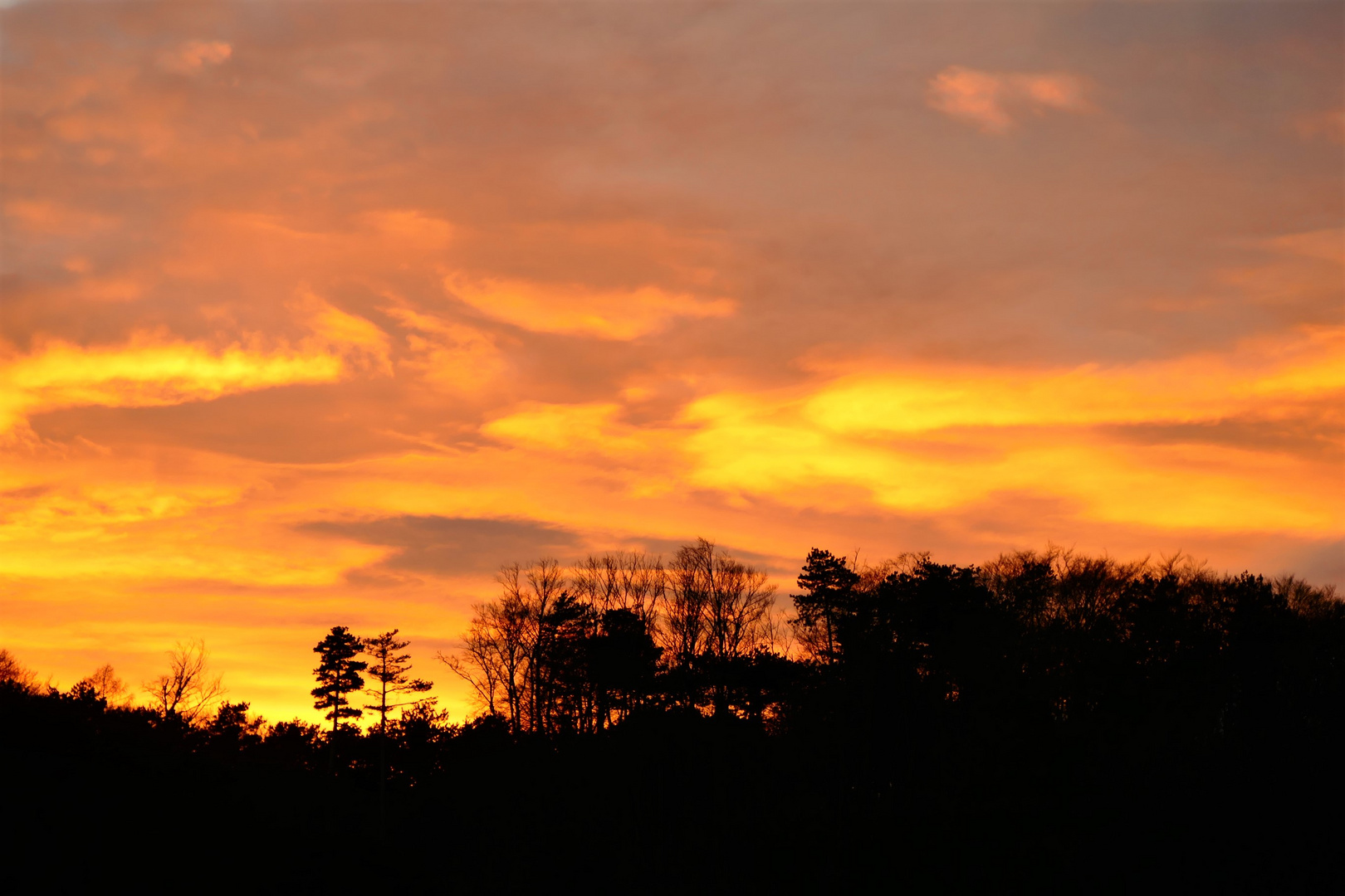 Der Sonnenuntergang 