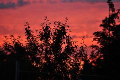 Der Sonnenuntergang am Dennenloher See