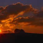 Der Sonnenuntergang an der Landstraße…,