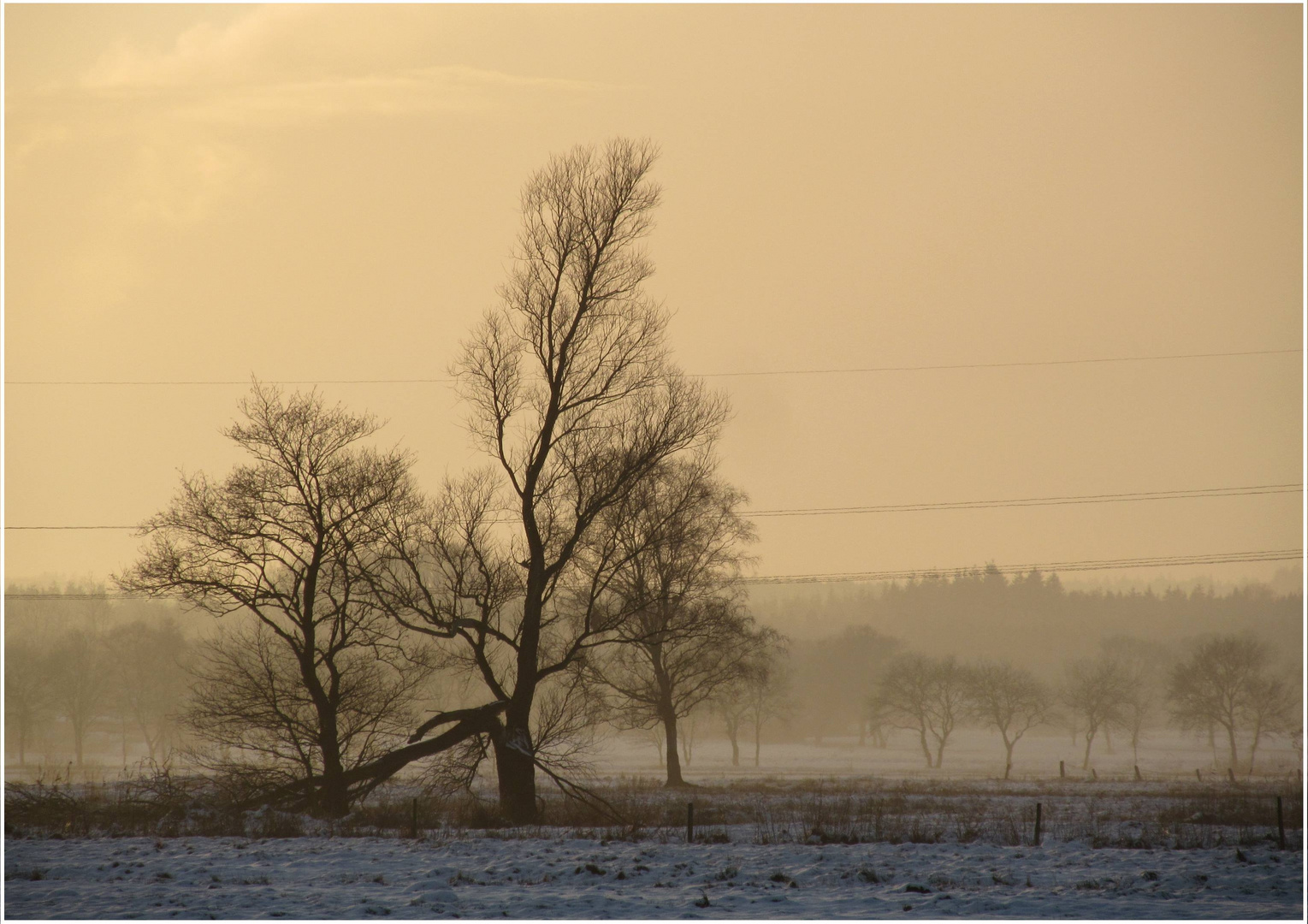 Der Sonnenuntergang bringt es ans Licht ...............