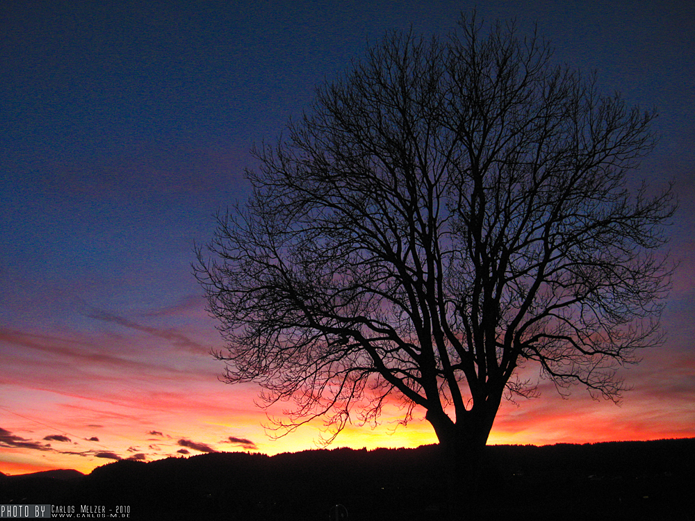 Der Sonnenuntergang