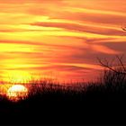 Der Sonnenuntergang heute Abend...