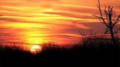 Der Sonnenuntergang heute Abend...