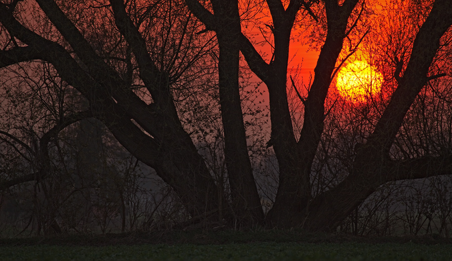 Der Sonnenuntergang in Derne