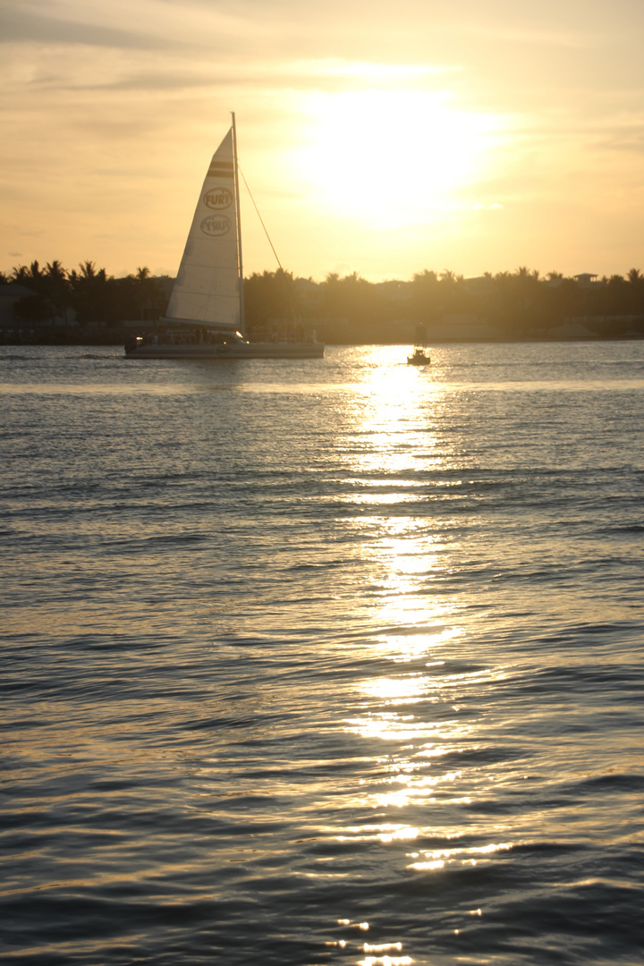 Der Sonnenuntergang in Key West