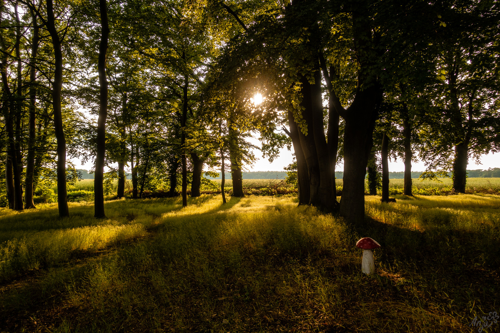 Der Sonnenuntergang in Röbel an der Müritz