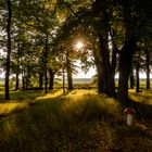 Der Sonnenuntergang in Röbel an der Müritz